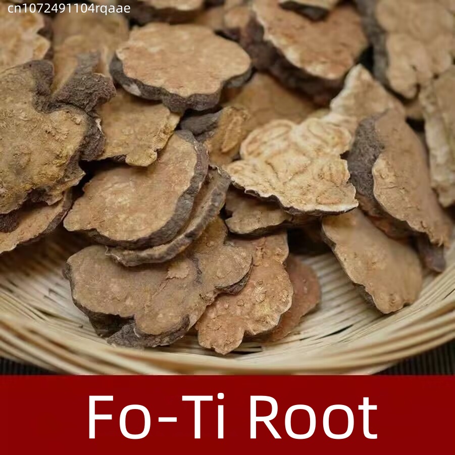 Fatias Secas de Polygonum Mult - Potpourri Dried Flower avaliação e preço
