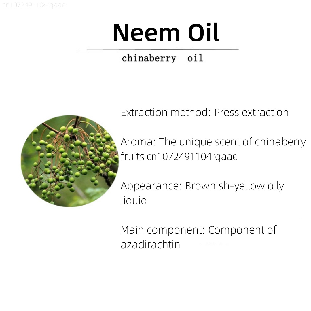 Óleo de Neem, Lótus Azul e Oud - Home Fragrance Oud avaliação e preço