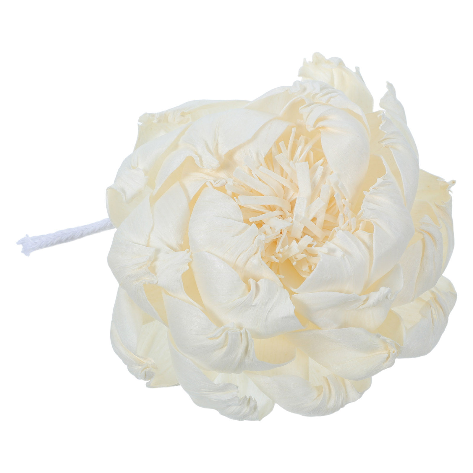 Difusor de Aroma Peony Head 12 - Home Fragrance avaliação e preço