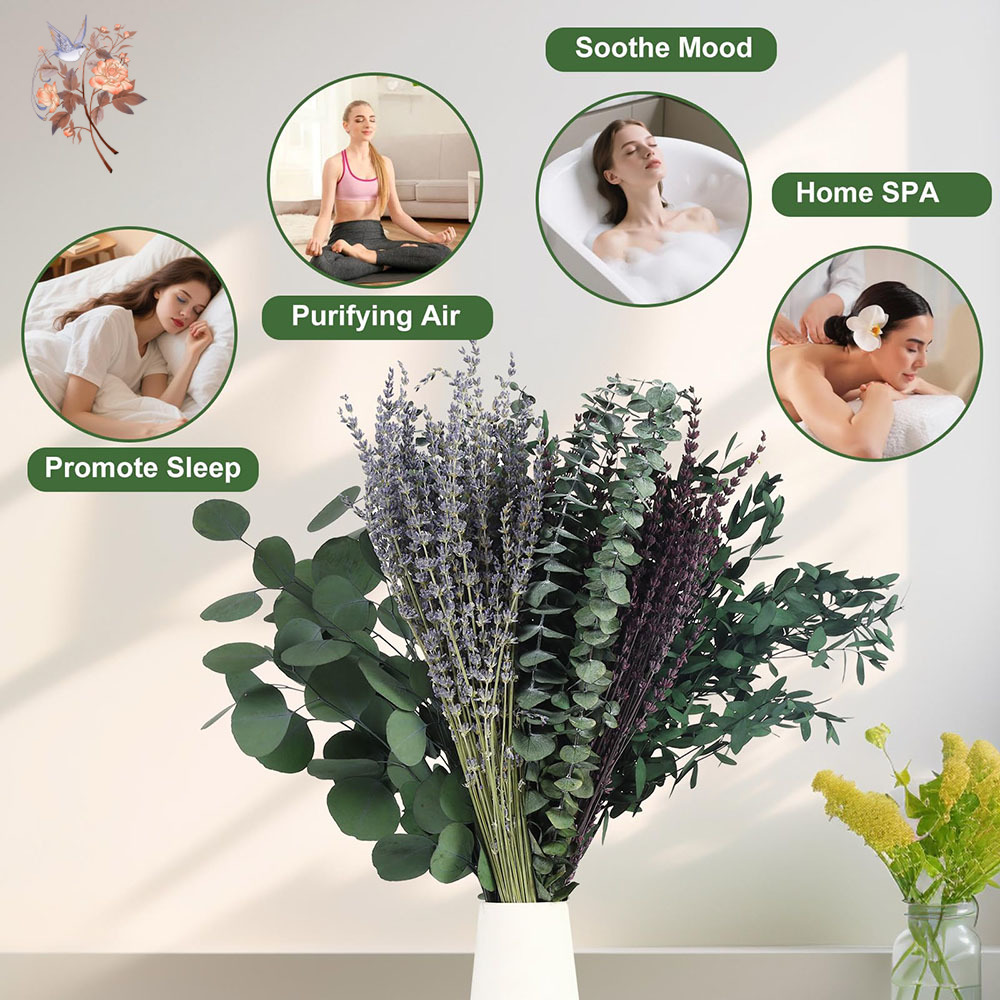 110 pçs mix folhas de eucalipt - Home Fragrance Fillers avaliação e preço