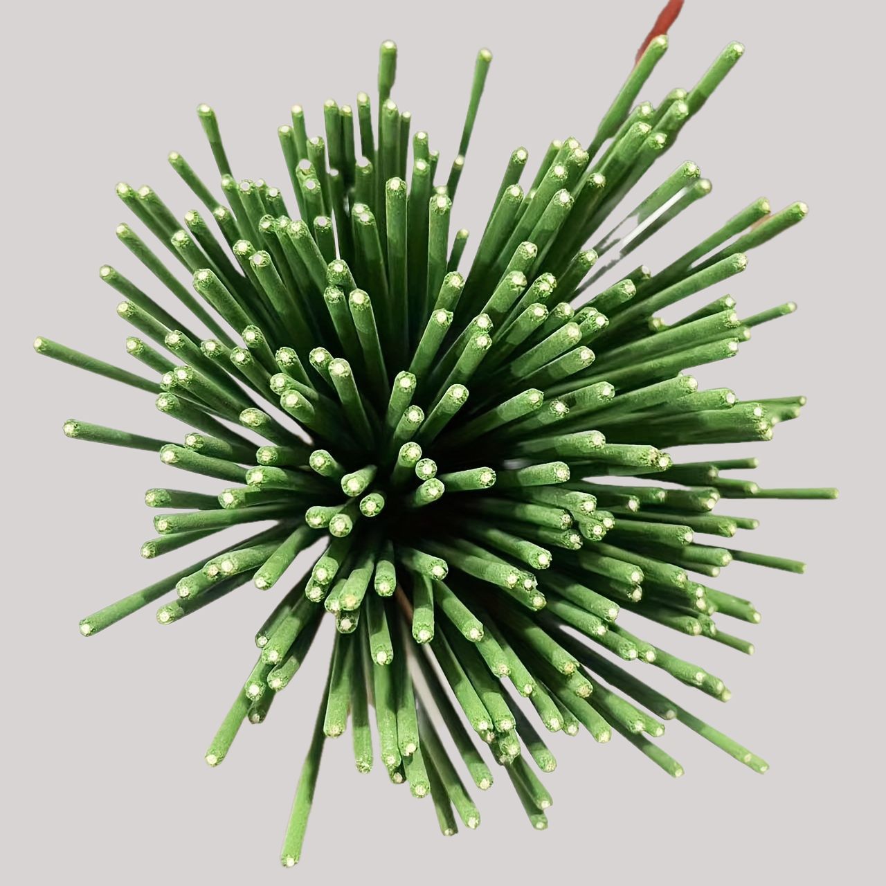 Reed difusor varas capim-limão - Home Fragrance Verbena avaliação e preço