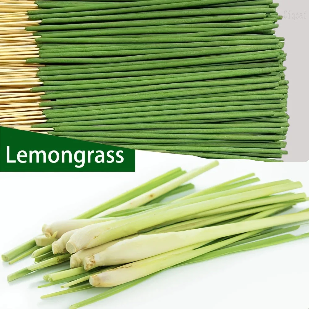 Reed difusor varas capim-limão - Home Fragrance Verbena avaliação e preço