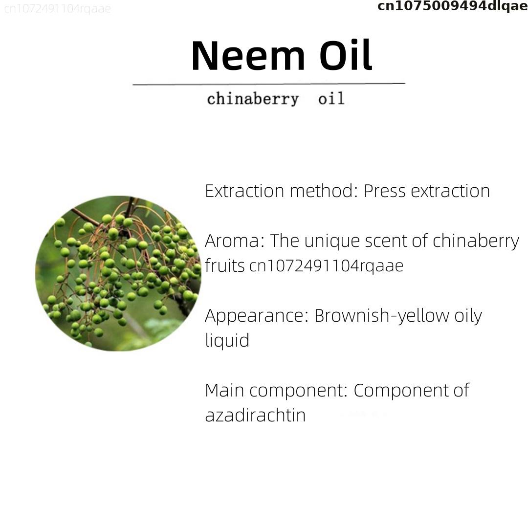 Óleo de Neem, Lótus Azul e Oud - Home Fragrance Oud avaliação e preço